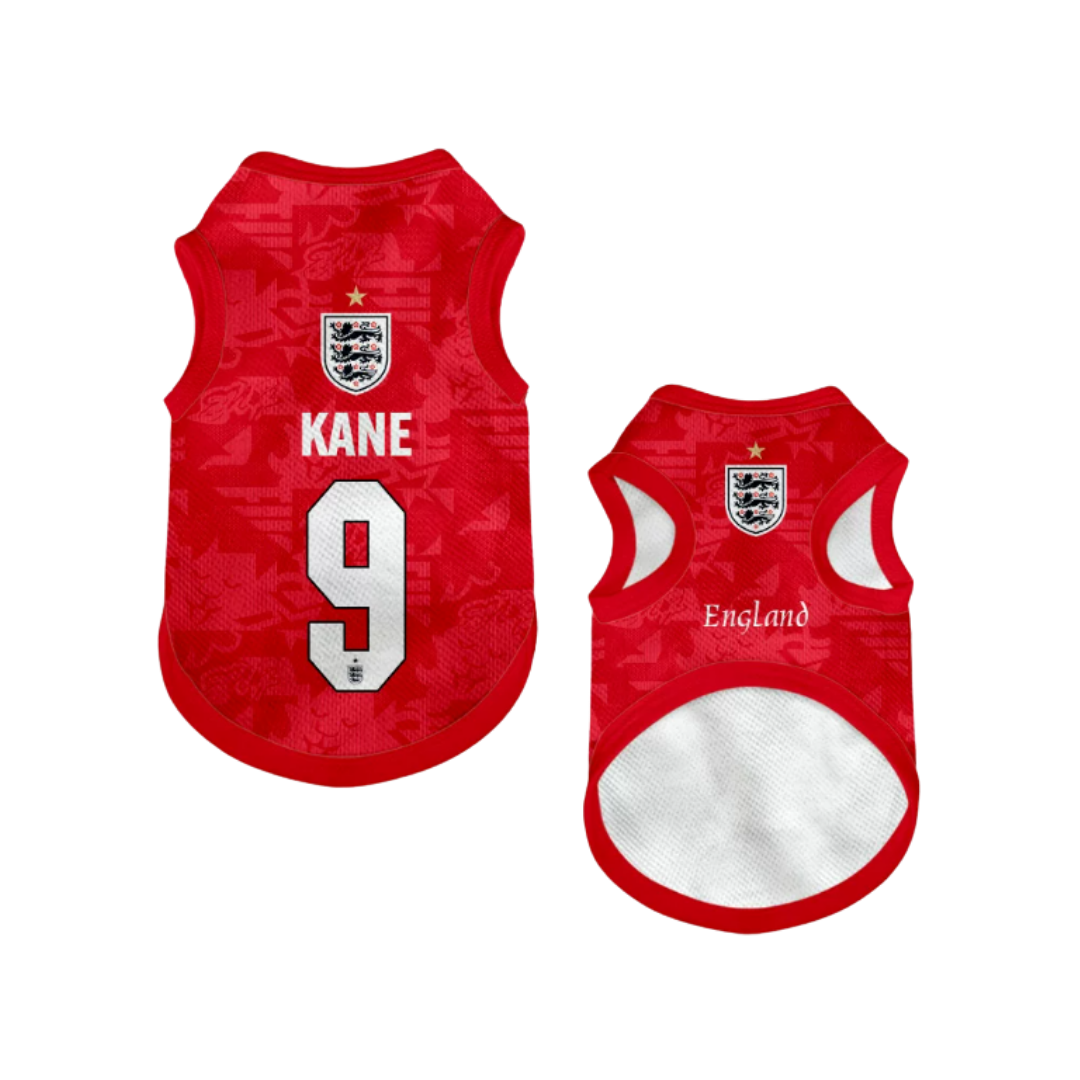 2026 world cup England team pet vest