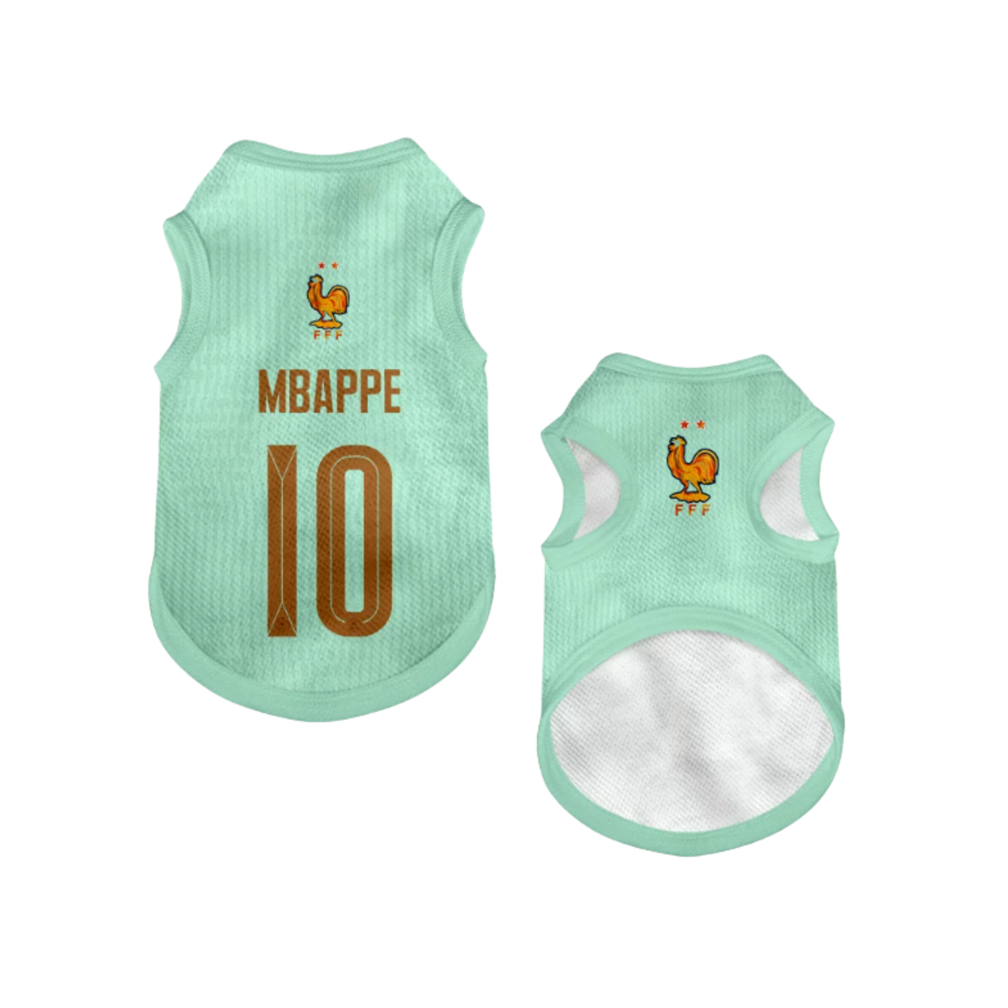 2026 world cup France team pet vest
