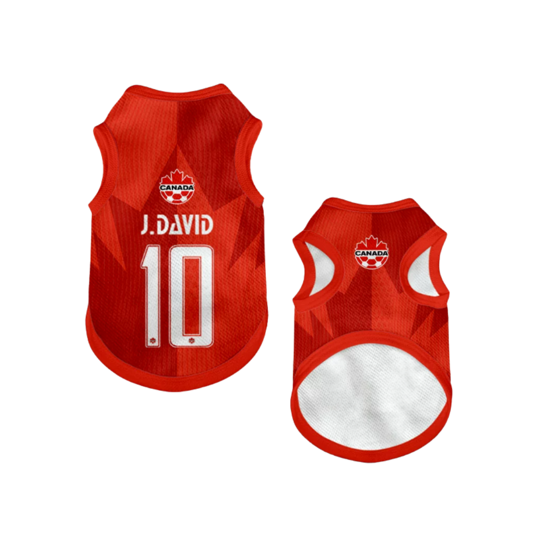 2026 world cup Canada team pet vest