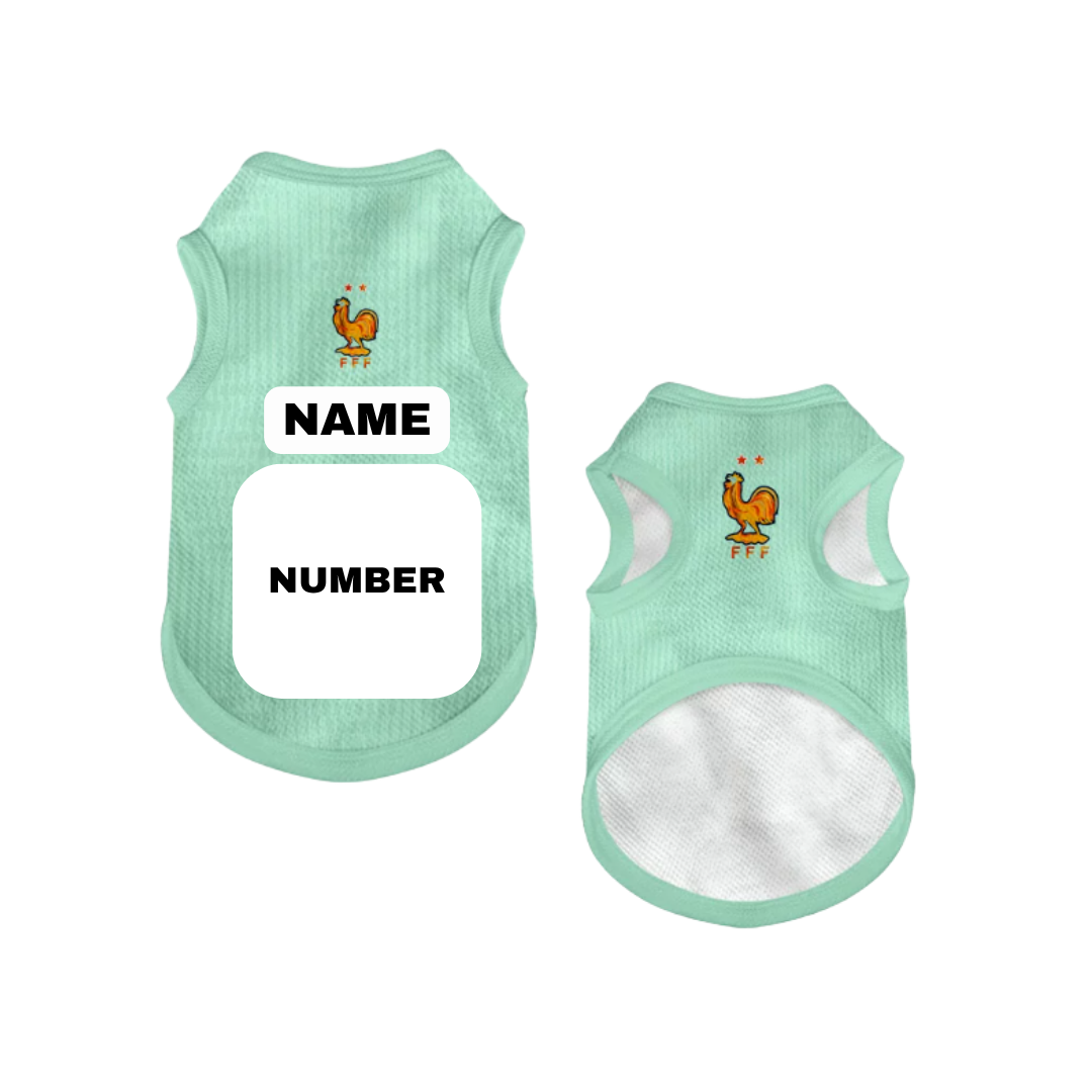 2026 world cup France team pet vest