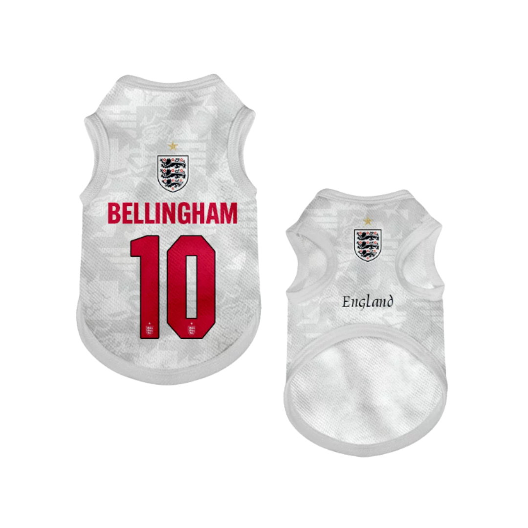 2026 world cup England team pet vest