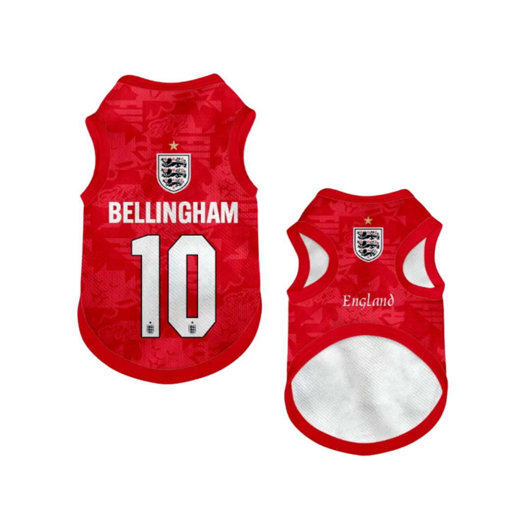 2026 world cup England team pet vest