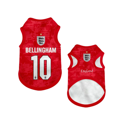 2026 world cup England team pet vest