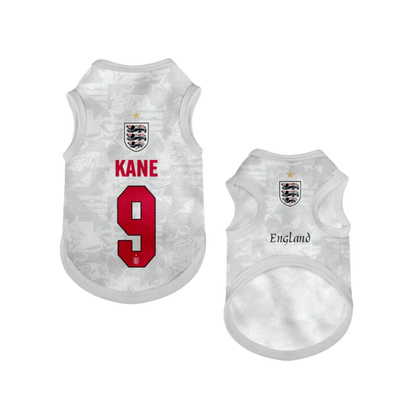 2026 world cup England team pet vest