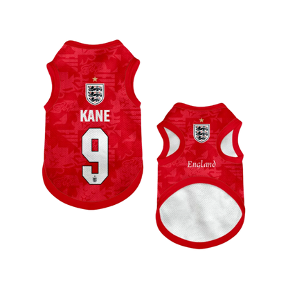 2026 world cup England team pet vest