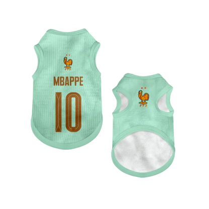 2026 world cup France team pet vest