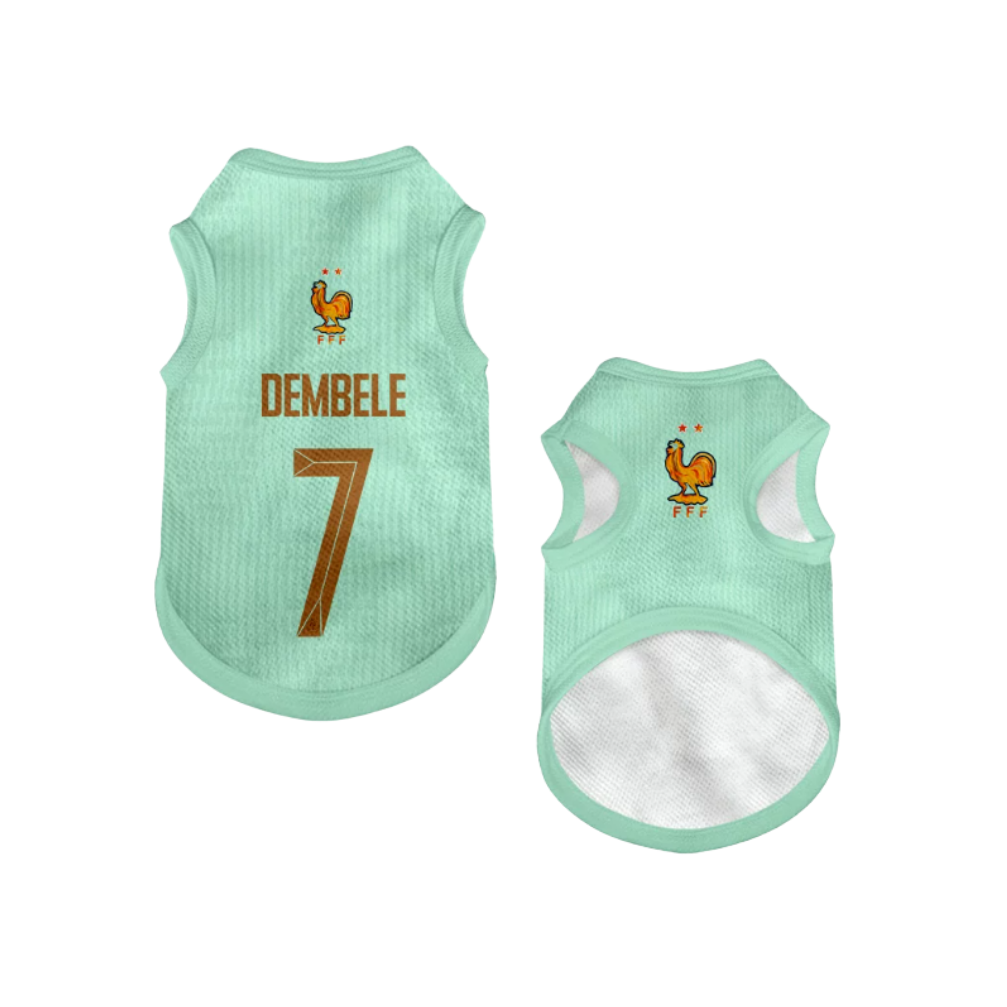 2026 world cup France team pet vest