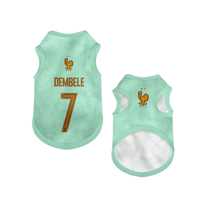 2026 world cup France team pet vest