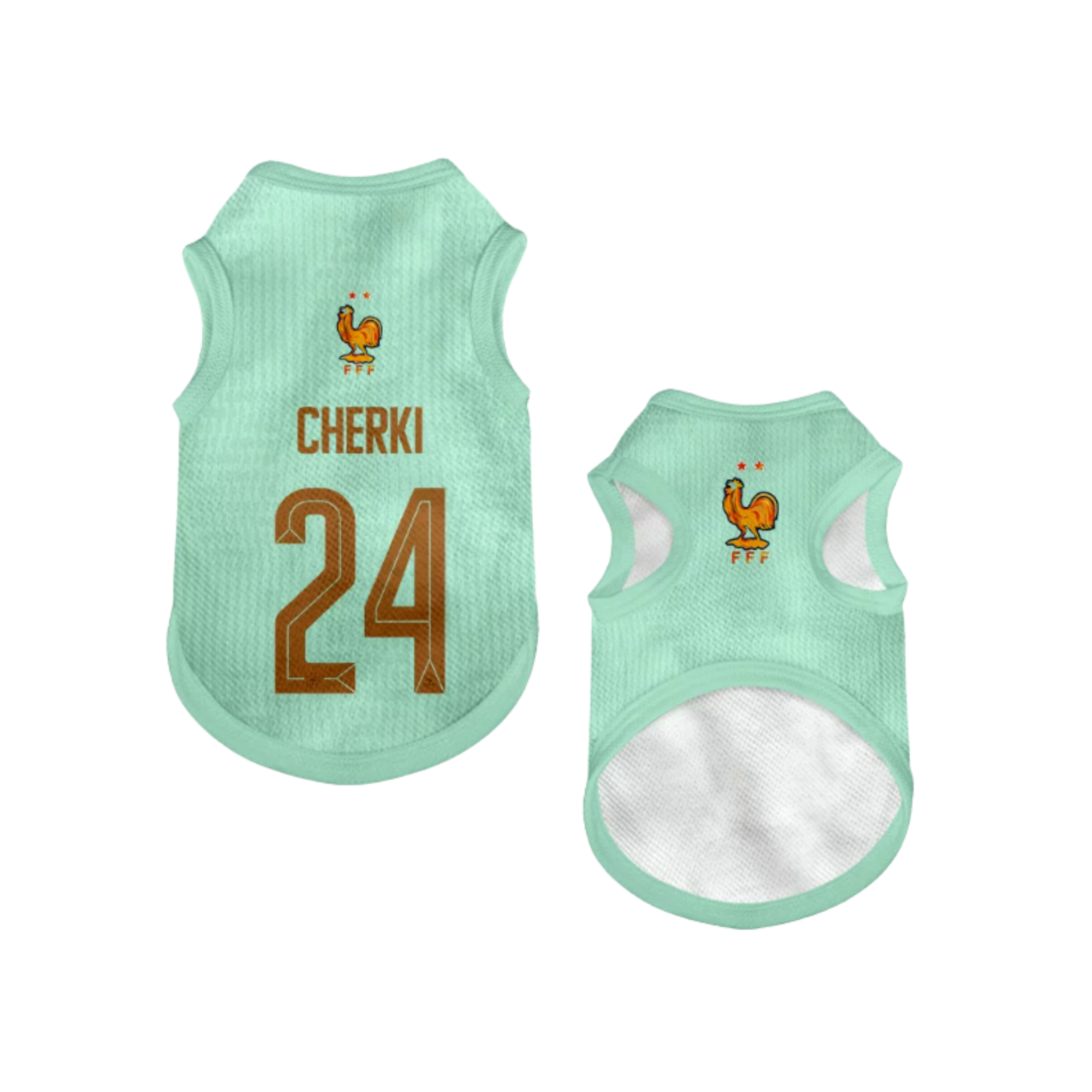 2026 world cup France team pet vest