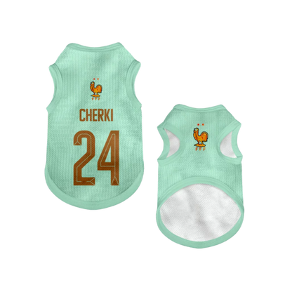 2026 world cup France team pet vest