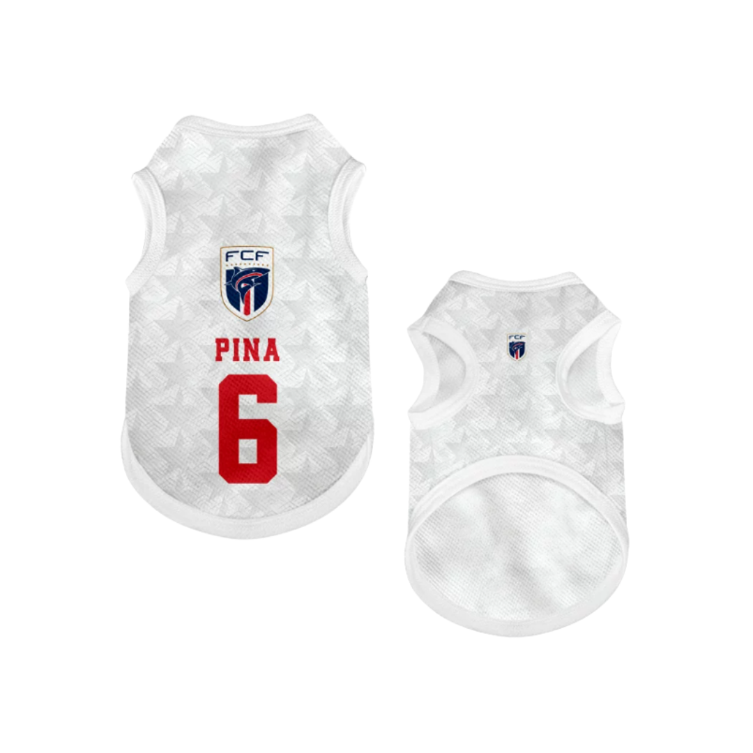 2026 world cup Cape Verde team pet vest