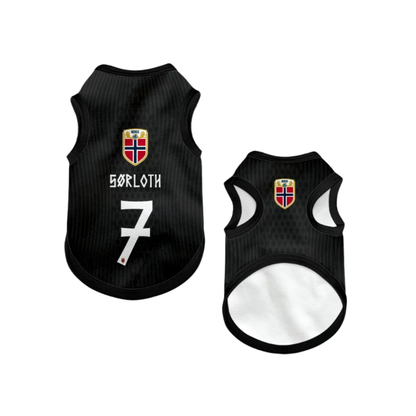 2026 world cup Norway team pet vest