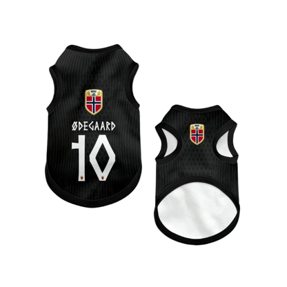 2026 world cup Norway team pet vest
