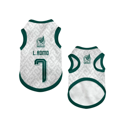 2026 world cup Mexico team pet vest