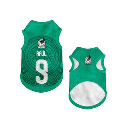 2026 world cup Mexico team pet vest