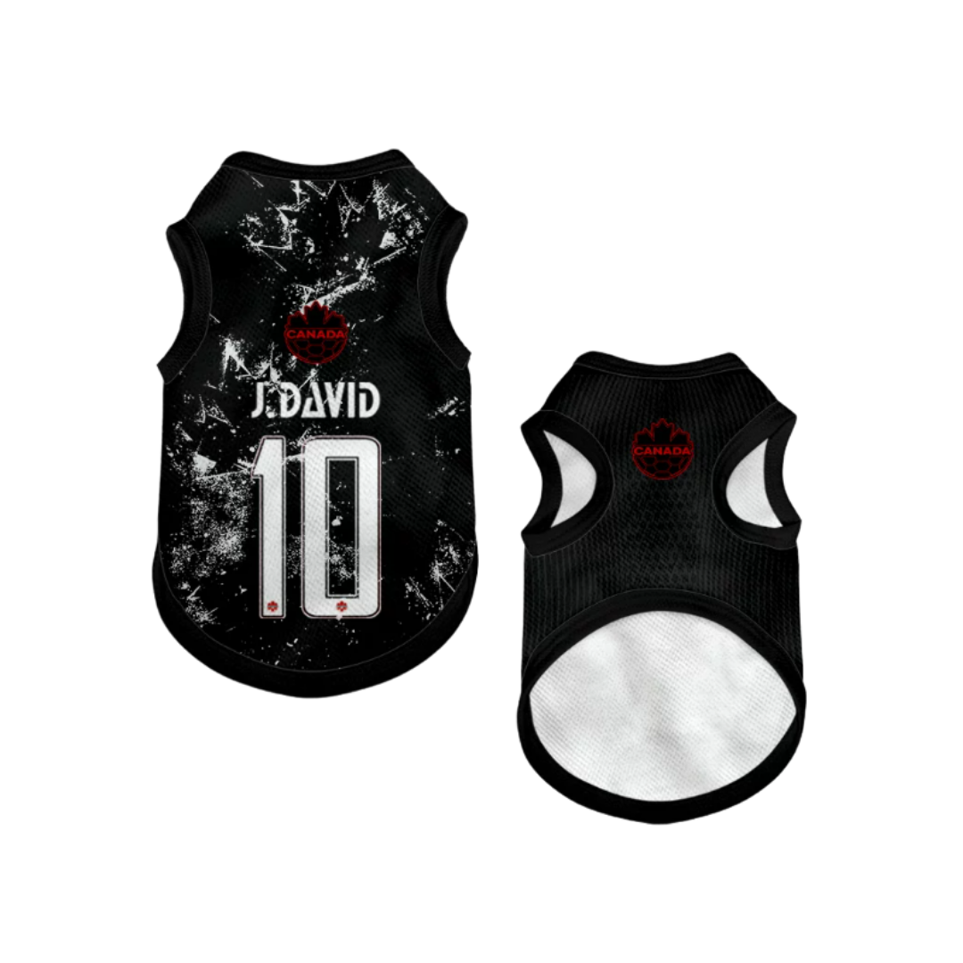2026 world cup Canada team pet vest